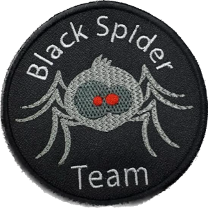 Logo Black Spider Team